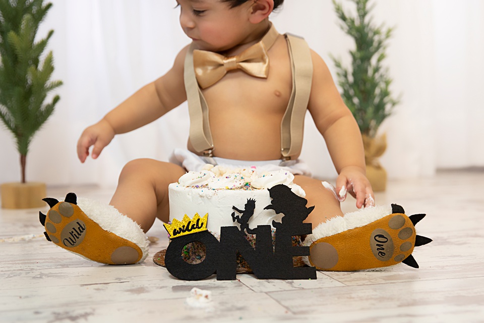 Wild one hotsell smash cake outfit